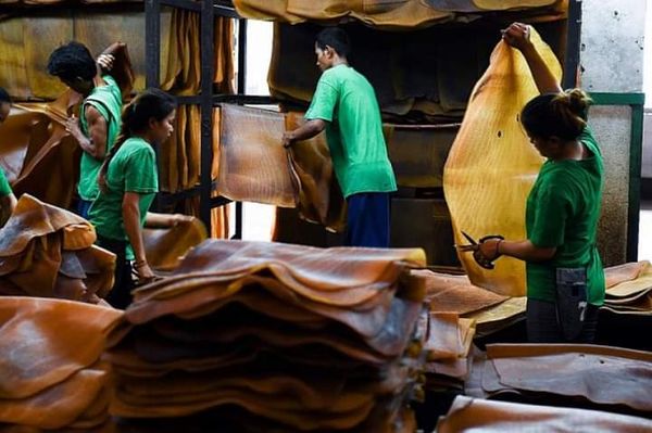 德林达依省区生产的橡胶通过高栋口岸出口泰国获得了好价钱