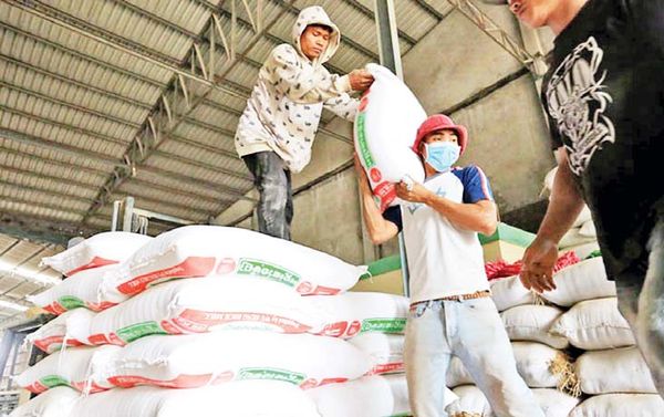 越南国家在2030年度时大米出口将削减至400万吨