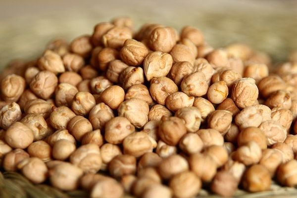 2022—23财政年度内缅甸出口鹰嘴豆获得1300万美元的收入