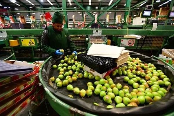 “过去20年里，这是中国向我们出口的最重要产品”