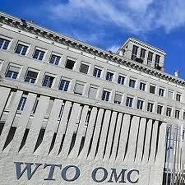 文本谈判结束！中国首次