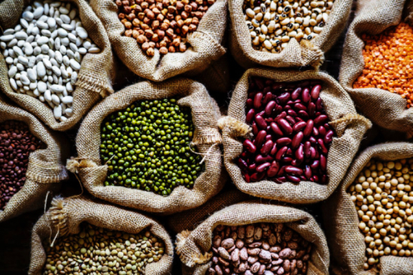 新财政年度4月份、5月份期间缅甸向国外出口各种豆类24亿美元