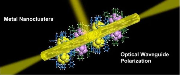中国科学家再传捷报！