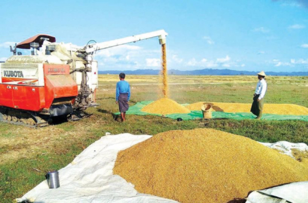 由于米价持续上涨米商暂停部分交易