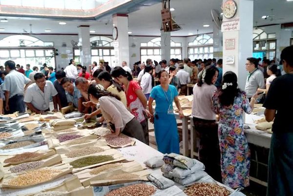 本财政年度5个多月缅甸出口各种豆类70多万吨