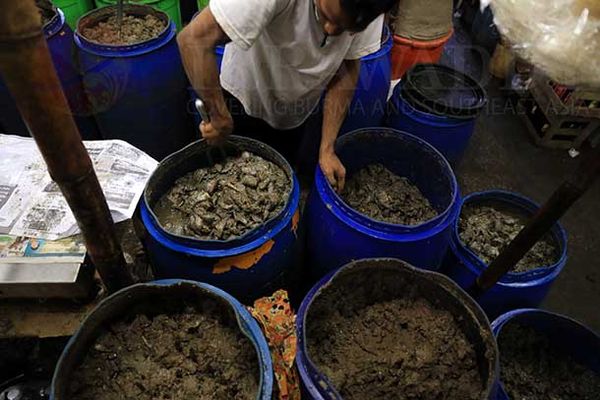 伊洛瓦底省毛淡棉遵县区8月份向仰光输送鱼酱14.5万缅斤