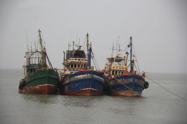 伊洛瓦底省马乌宾专区渔业工作局发布禁止捕捉鲥鱼的命令及通告