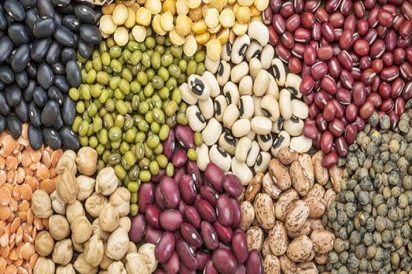 新财政年度近6个月时间缅甸出口各种豆类获得6.8亿美元的收入