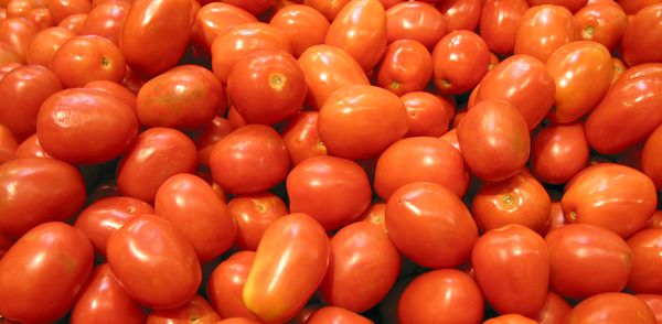 勃固省卑谬专区市场上掸邦番茄获得了好价钱