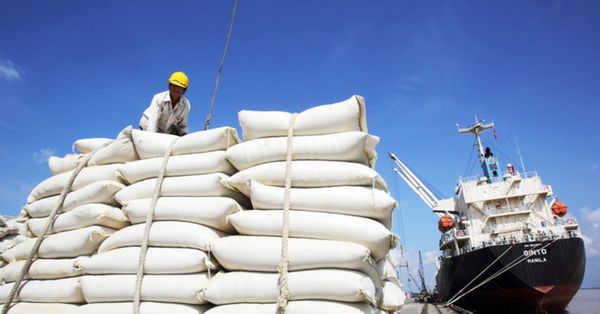 缅甸今年9月份向国外出口大米碎米8万多吨