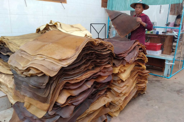 本财政年度头5个月缅甸向国外出口橡胶76,000多吨