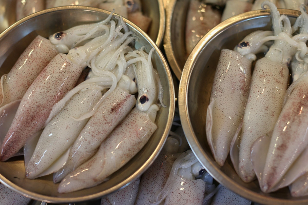 伊洛瓦底省壁榜县区在10月份向仰光多输送了墨鱼2万多缅斤