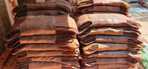 缅甸在今年9月份出口橡胶7,300多吨