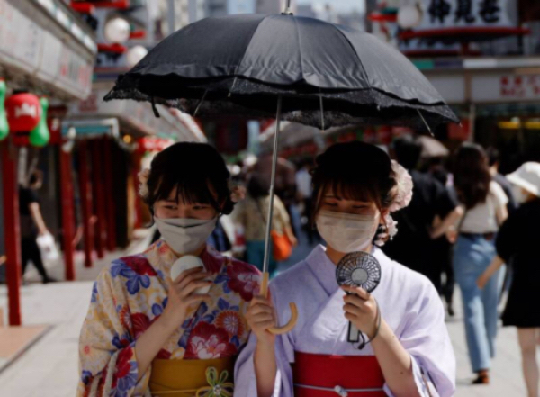 日本国内人熊冲突现象日益严重