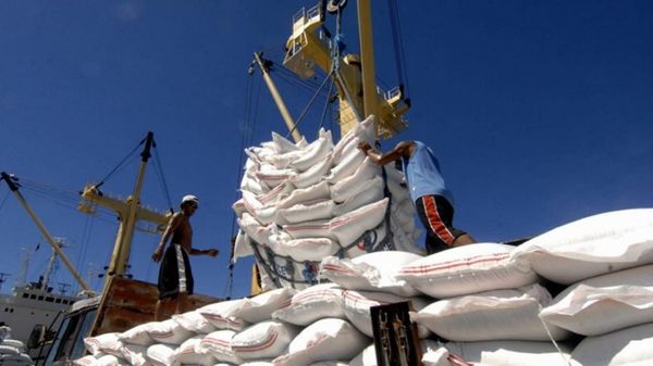 本财年大米出口量可能减少约60万吨