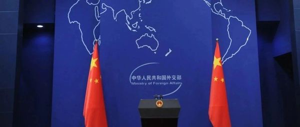 中央政治局委员、外交部长王毅将参会并访问两国