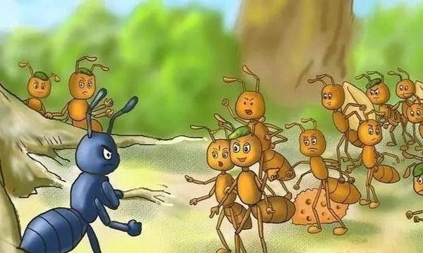 《蚂蚁世界的大发现》(字明媛)