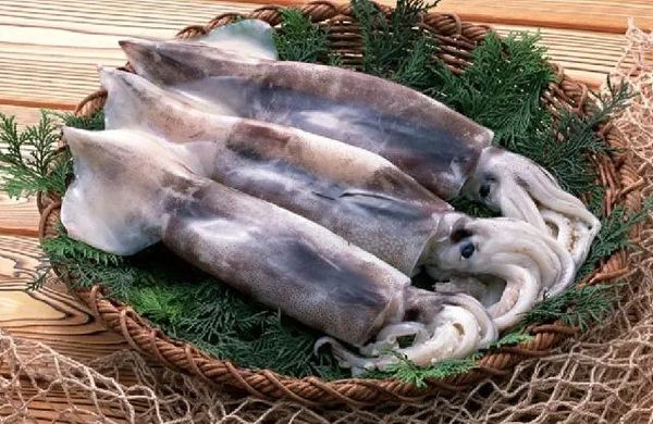 伊洛瓦底省纳不打县区3月份向仰光市场输送墨鱼55,000缅斤