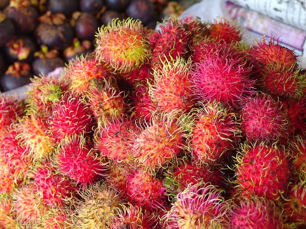 孟邦吉马鲁县区热带水果红毛丹已大量上市
