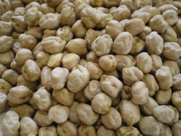 实皆省昌吴县区种植的冬作物鹰嘴豆已有2.5万英亩完成收割工作