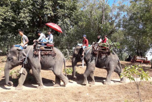 曼德勒省柏林江岸大象营地泼水节期间接待了3千多名游客