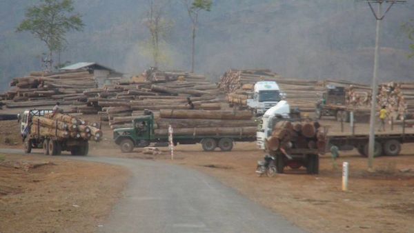 本财政年度2个多月缅甸向国外出口林产品获得1,100多万美元