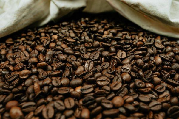 名列咖啡十大出口国的东非埃塞俄比亚国家
