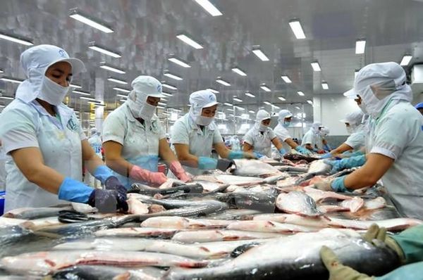 新财政年度3个月缅甸向国外出口各种鱼类6万多公吨