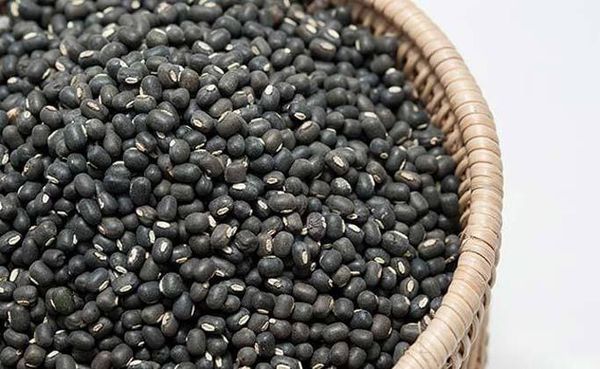 伊洛瓦底省马乌宾县6月份向仰光输出24缅升装黑麦豆7.5万包