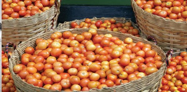 山区番茄在曼德勒大都市的市场上畅销