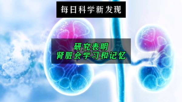 记忆不仅存在于大脑中？研究人员有新发现