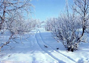 玉梅令‧忆山乡落雪日  （舒云）