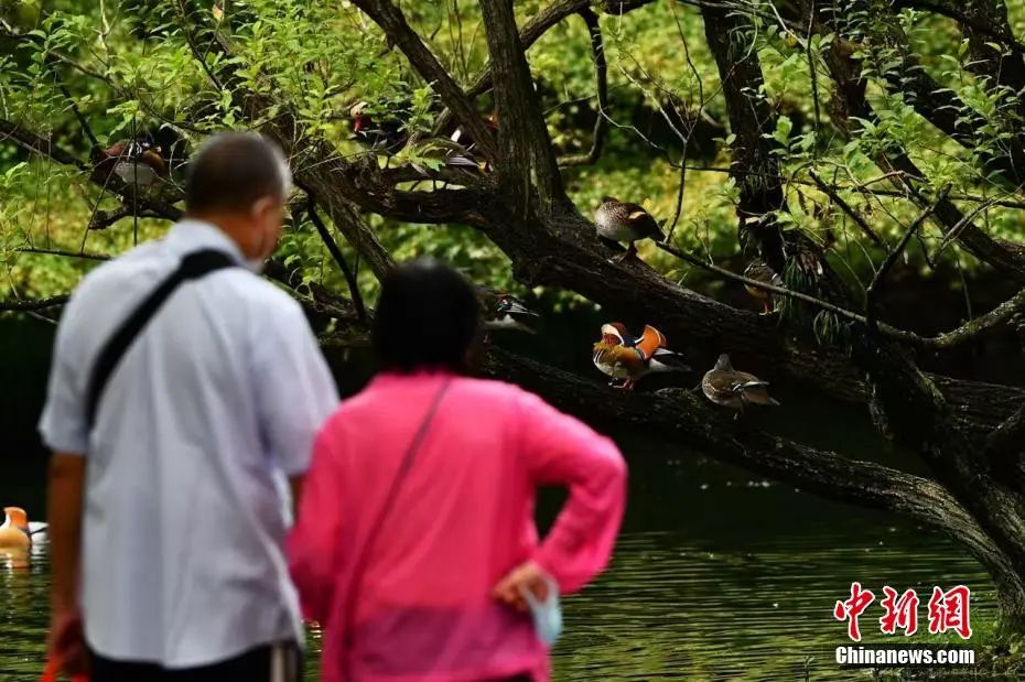 无论在什么年纪，不要看轻自己的父母