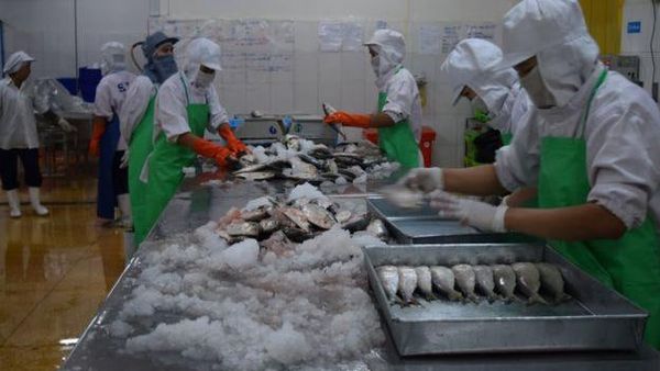 新财政年度第一个月缅甸向国外出口各种鱼类近3万公吨