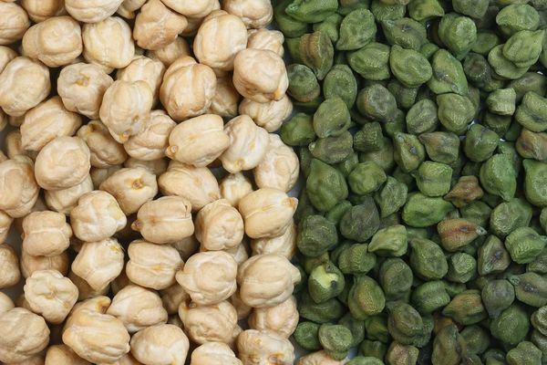 实皆省实皆县区冬季节期间种植的鹰嘴豆作物已全部完成采收工作