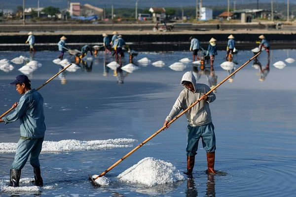 伊洛瓦底省额布都县区5月份内向仰光输送出日晒盐8.8万缅斤