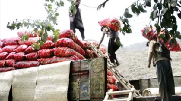 阿富汗国家为满足对食物粮食产品的需求兴建120座冷冻储藏仓库