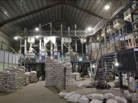 伊洛瓦底省扎伦县区向仰光市输送出了大量的“90天”品种稻谷