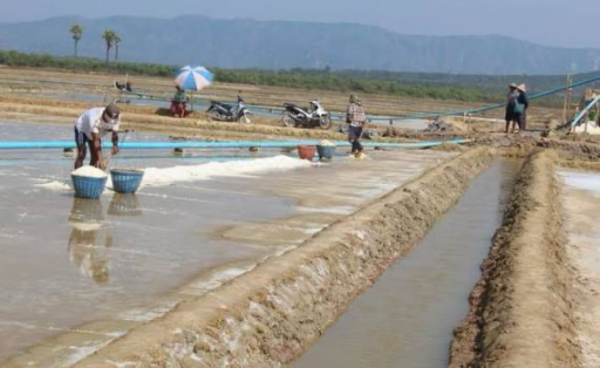 伊洛瓦底省耶基县区生产出来的日晒盐在本地市场上销路十分良好