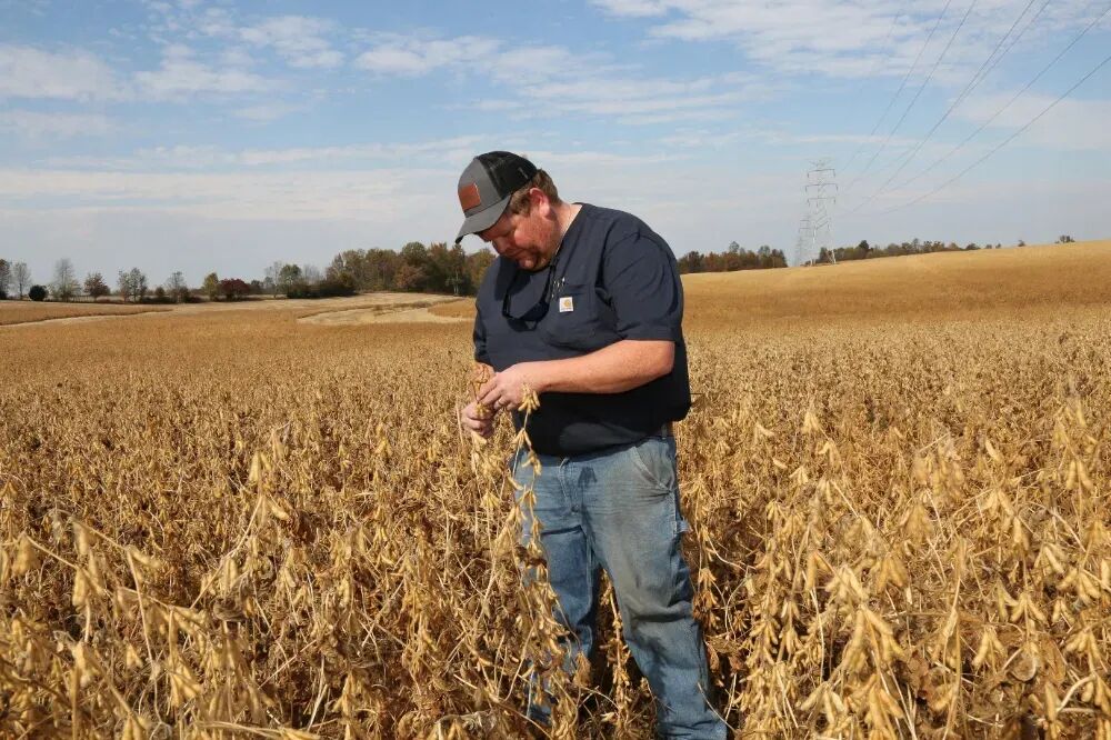 刚对中国企业下狠手，又求中国放过！美总统支持率就攥在中国手里…