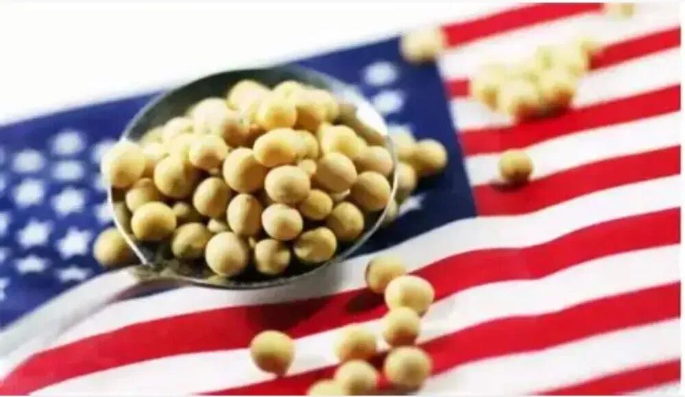 中国击中美国七寸，对美漫天要价，台湾一个中国认同已经开始复苏…