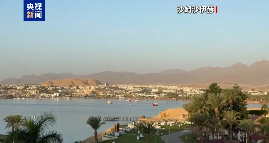 巴以冲突两周年 新一轮谈判能否带来和平曙光？