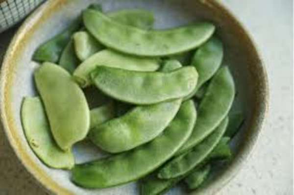 实皆省实皆县区今年冬季规划种植扁豆作物3千多英亩