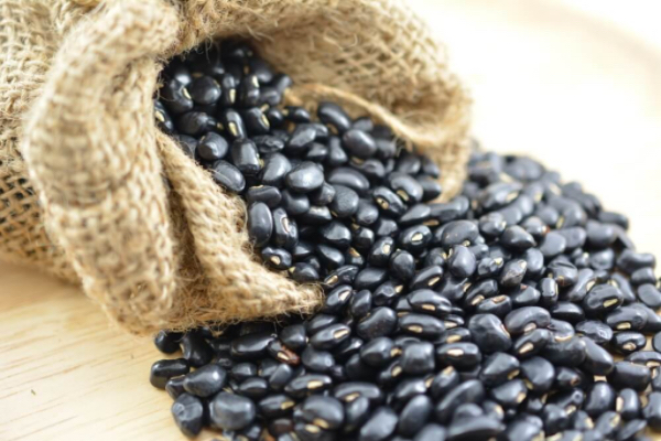 伊洛瓦底省甘基道县区9月间向仰光市输送出大量的黑麦豆