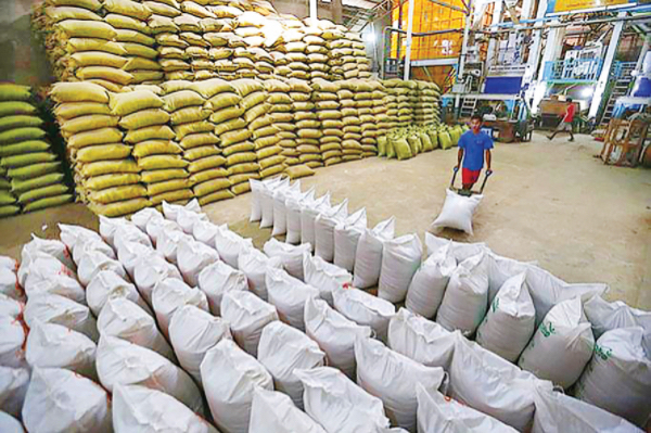 伊洛瓦底省德努彪县区向仰光市输送出大量的昂乃多品种稻谷