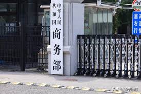 商务部：荷方应承担全部责任