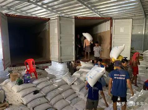 伊洛瓦底省毛淡棉遵县区向仰光市大量输送出“南开”品种稻谷