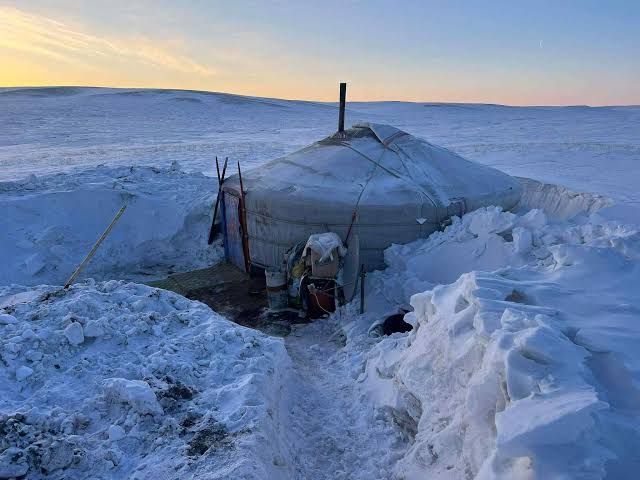 蒙古国家全国领土已有68%为大雪所覆盖