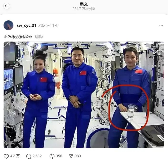 这次，“德国之声”都出来辟谣了