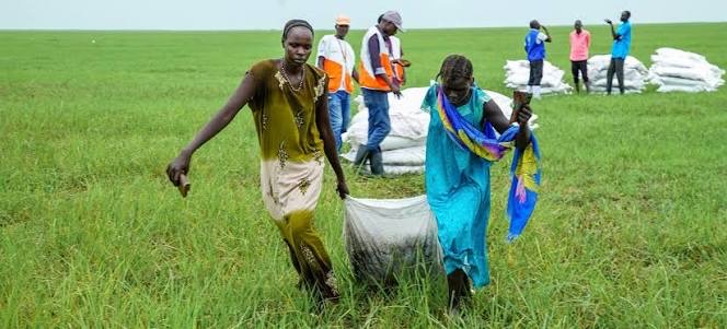 非洲南苏丹国家有700多万民众在明年将面临严重的食物短缺情况